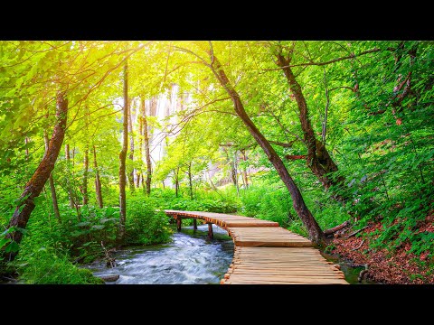 Ultimate Stress Relief - Soothing Music for Relaxation, Meditation and Anxiety Reduction