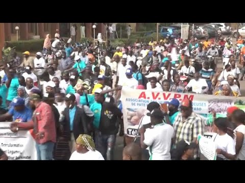 Burkina Faso : des manifestants demandent le retrait du groupe Bollor&eacute;