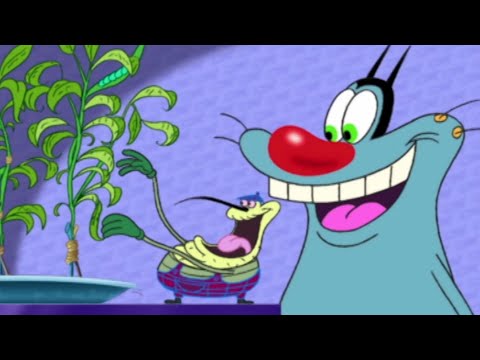 NEW FRIEND | Oggy and the Cockroaches (S02E09) BEST CARTOON COLLECTION | New Episodes in HD