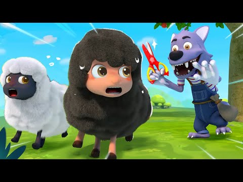 Baa Baa Black Sheep | +More Nursery Rhymes &amp; Kids Song | BabyBus