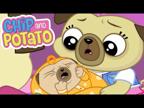 Chip and Potato | Baby Sister and Chip | Cartoons For Kids