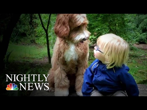 Oregon Foster Child&rsquo;s Friendship With Dog Is Viral Internet Sensation | NBC Nightly News