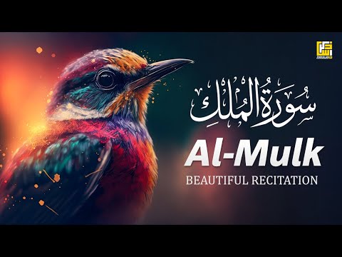 Amazing Quran Recitation of Surah Al-Mulk - سورة الملك | Zikrullah TV