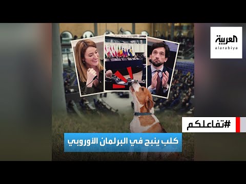 تفاعلكم : كلب ينبح في البرلمان الأوروبي وملامح الصدمة على وجوه الأعضاء