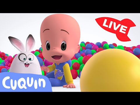 🔴 LIVE 🔴 Learn colors, numbers and shapes with Cuqu&iacute;n | Educational videos for kids.