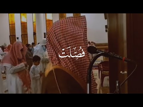 ما تيسّر من سورة فُصِـّلَت للقارئ محمد اللحيدان.