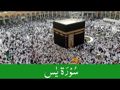 Surah yasin | Inspired by Shikh Sudais | Ep-2 |  تلاوة القرآن - سورۃ یس