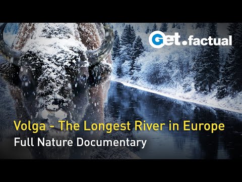 Realm of the Volga - A River is Born | Full Nature Documentary