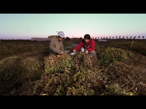 How to Scale Up Nature-Based Climate Solutions on Farms and Ranches with Key Partnerships