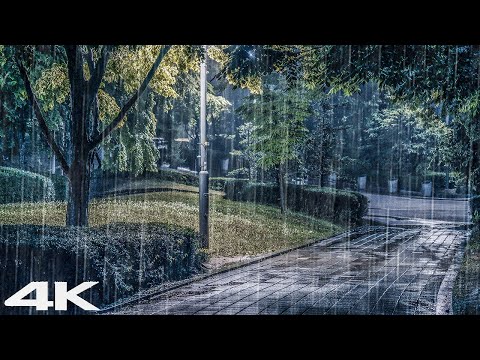 Soft Rain Sounds for Sleeping - Fall Asleep &amp; Goodbye Insomnia, Night Rain