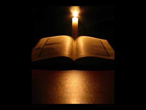 Surah Al Baqrah (quic reaciacition)by Sheikh Mishary Al Afasy| سورہ آل بقرہ|beautiful voice|