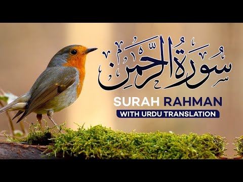 Surah Rahman With Urdu Translation full | Qari Al Sheikh Abdul Basit Abdul Samad (2023)