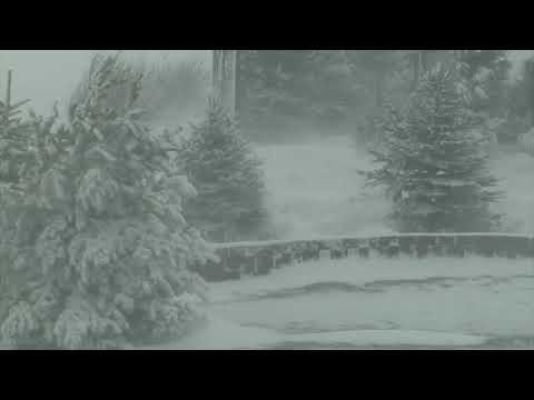 Epic Snowstorm | Howling Blizzard Sounds | Heavy Wind &amp; Snow | Perfect Sounds For Sleep