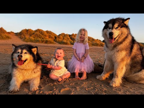 Our Holiday Routine With 3 Dogs And 2 Children! (Organised Chaos!!)