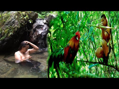 FULL VIDEO: 200 days of survival, wild chicken hunting skills, wild boar traps, Survival alone