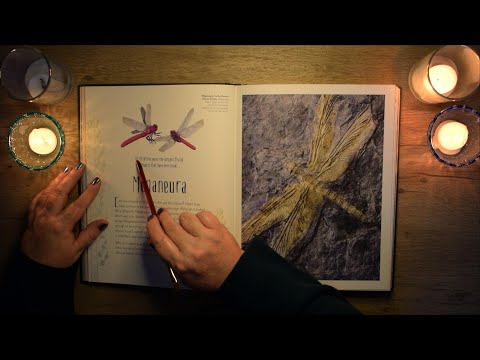 ASMR Prehistoric creatures and plant life, Lots of Tracing, Page Turning and Soft Reading