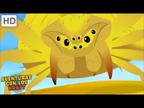 &amp;iexcl;Insectos! | Ara&amp;ntilde;as, gusanos, mariposas + &amp;iexcl;M&amp;aacute;s! [episodios completos] Aventuras con los Kratt