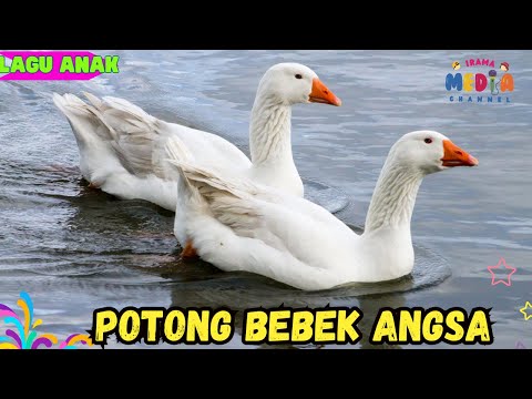 🔴POTONG BEBEK ANGSA LAGU ANAK INDONESIA