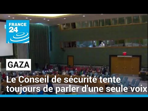 Gaza : le Conseil de s&eacute;curit&eacute; tente toujours de parler d'une seule voix &bull; FRANCE 24