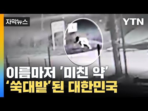 [자막뉴스] 이름마저 '미친 약'...심각한 정신장애 일으키는 '신종 마약'에 쑥대밭 / YTN