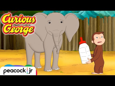 🐘 Befriending a Baby Elephant | CURIOUS GEORGE