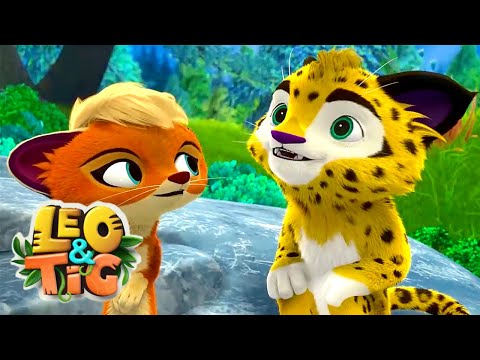 LEO and TIG ? ? All epsodes in a row 1-15 ⭐ Cartoons collection ? Moolt Kids Toons Happy Bear