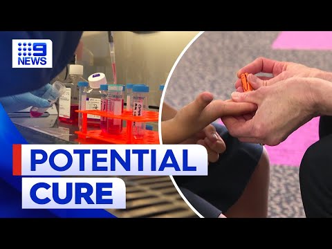 Australian scientists find potential cure for diabetes | 9 News Australia