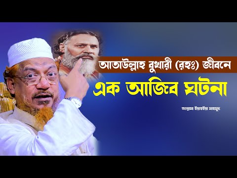 আতাউল্লাহ শাহ্ বুখারী (রহঃ) এর জীবনে একটি আজিব ঘটনা। আল্লামা ইয়াহইয়া মাহমুদ।  Borkot Media