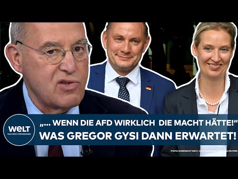 DEUTSCHLAND: &quot;... wenn die AfD wirklich die Macht h&auml;tte!&quot; Die eindringliche Warnung von Gregor Gysi