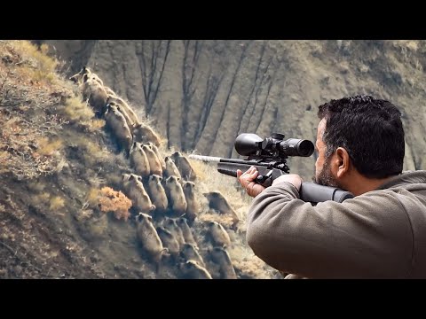 TOP 100 WILD BOAR HUNTS - EN İYİ 100 DOMUZ AVI - PART 2