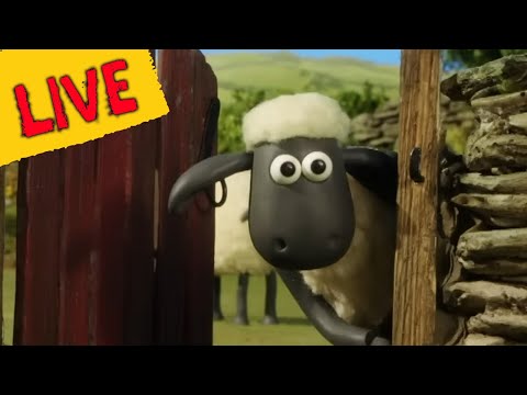 Shaun The Sheep TV! Brand New Live Stream - Full Episodes - Cartoons for kids