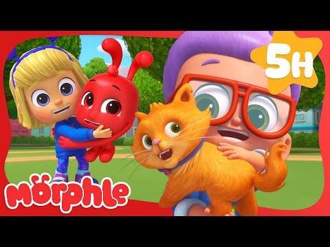 Winston and the Birthday Kitten! So Cute!🎈 | Morphle's Family | Kids Cartoons