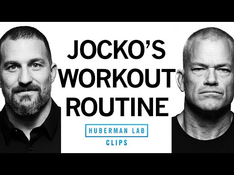 Jocko's Workout Routine | Jocko Willink &amp; Dr. Andrew Huberman