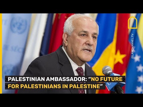 Palestinian ambassador tells UN Security Council: &quot;No future for Palestinians in Palestine&quot;