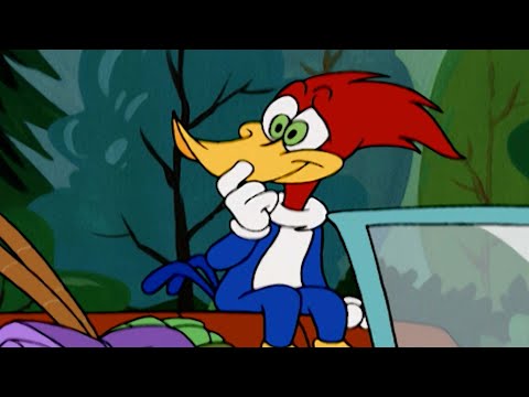 Fun day in the countryside | Woody Woodpecker