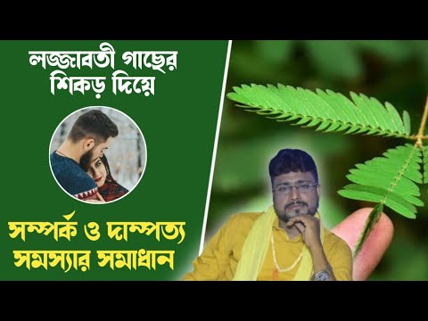 লজ্জাবতী গাছের শিকড় দিয়ে দাম্পত্য সমস্যার সমাধান - Sri Debashish