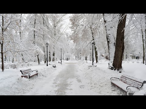 Beautiful Relaxing Music - Stop Overthinking, Stress Relief Music, Sleep Music, Calming Music