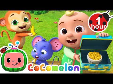 Yummy Lunch Song + More CoComelon Nursery Rhymes &amp;amp; Animal Songs