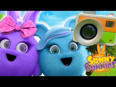 Videos For Kids | Sunny Bunnies THE SUNNY BUNNIES TAKE A SELFIE | Funny Videos For Kids