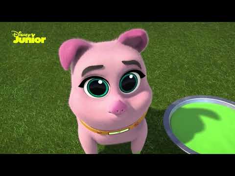 Bingo y Rolly: &iexcl;A jugar! | Disney Junior Oficial