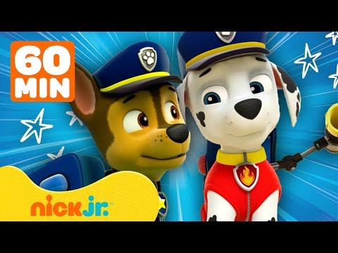 PAW Patrol | Chase &amp; Marshalls beste Rettungsmissionen! 🚨 | 1 Stunde Compilation | Nick Jr.