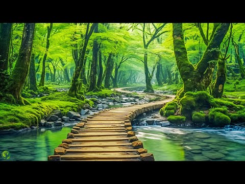 Beautiful Relaxing Music - Stop Overthinking, Stress Relief Music, Sleep Music, Calming Music #63