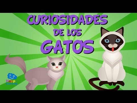 Curiosidades de los Gatos | Videos Educativos para Ni&ntilde;os.