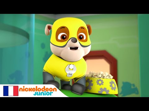 Paw Patrol : La Pat' Patrouille | Le roi araign&eacute;e | NICKELODEON JUNIOR