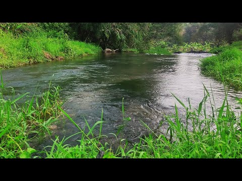 The Sound of the River, The sound of the babbling Green river, Beautiful natural sounds for sleeping