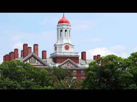 Apr&egrave;s des pol&eacute;miques, la pr&eacute;sidente d'Harvard va d&eacute;missionner