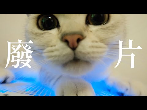 《廢貓片》feat. Lucas