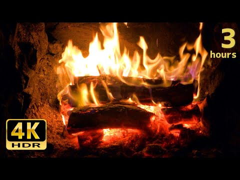 4K bonfire soothes you 3 hours and 47 minutes [natural sound]