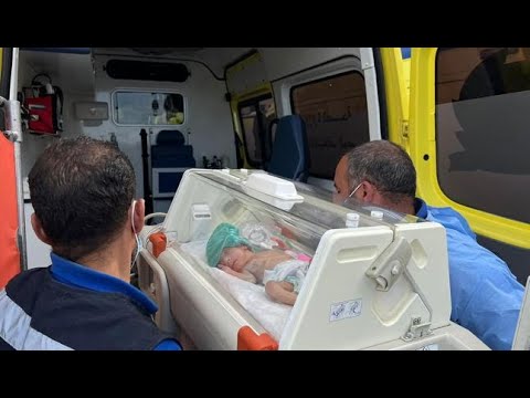 Ventotto neonati prematuri arrivati in Egitto da Gaza. Oltre un milione e 700mila gli sfollati...