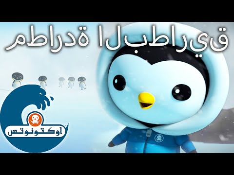 أوكتونوتس | 🐧 مطاردة البطاريق 🚜 | حلقات مجمعة